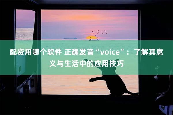 配资用哪个软件 正确发音“voice”：了解其意义与生活中的应用技巧