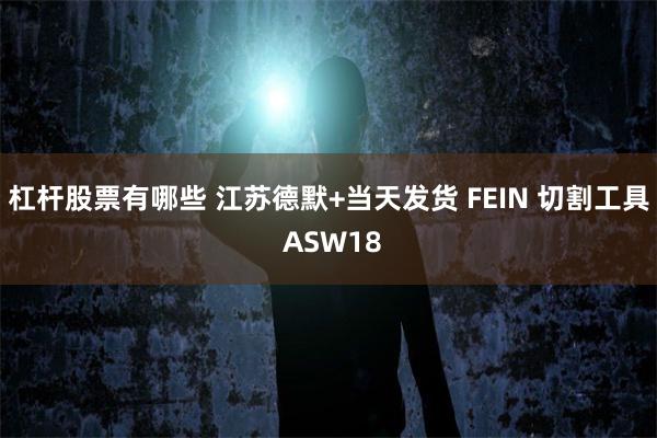 杠杆股票有哪些 江苏德默+当天发货 FEIN 切割工具 ASW18