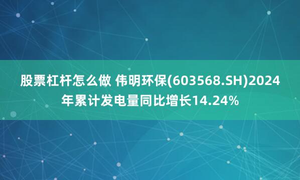 股票杠杆怎么做 伟明环保(603568.SH)2024年累计发电量同比增长14.24%