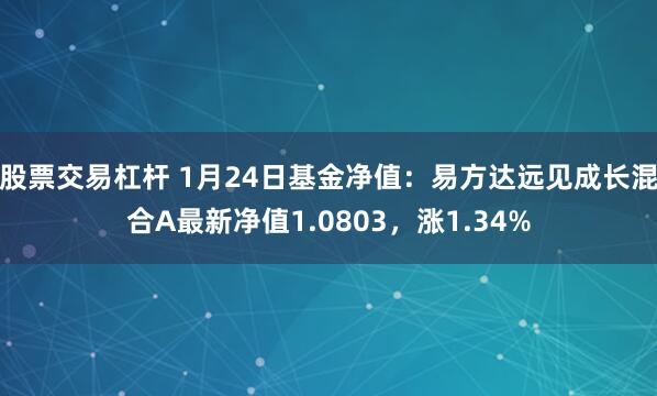 股票交易杠杆 1月24日基金净值：易方达远见成长混合A最新净值1.0803，涨1.34%