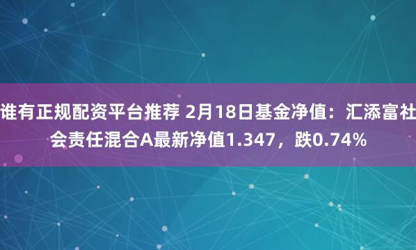 谁有正规配资平台推荐 2月18日基金净值：汇添富社会责任混合A最新净值1.347，跌0.74%