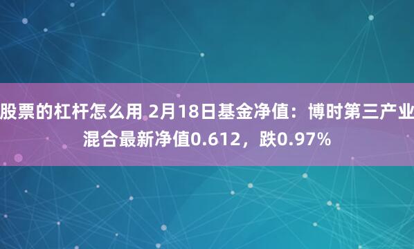 股票的杠杆怎么用 2月18日基金净值：博时第三产业混合最新净值0.612，跌0.97%