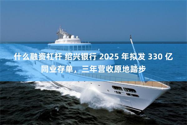 什么融资杠杆 绍兴银行 2025 年拟发 330 亿同业存单，三年营收原地踏步