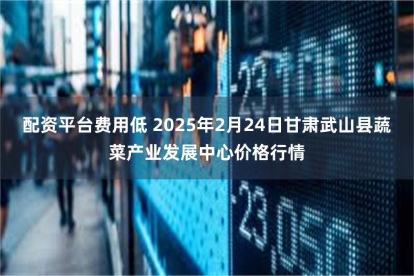 配资平台费用低 2025年2月24日甘肃武山县蔬菜产业发展中心价格行情