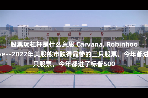 股票玩杠杆是什么意思 Carvana, Robinhood, Coinbase--2022年美股熊市跌得最惨的三只股票，今年都进了标普500